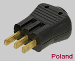 Polish 25A plug