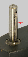 Solid pin with flexible protruding strip